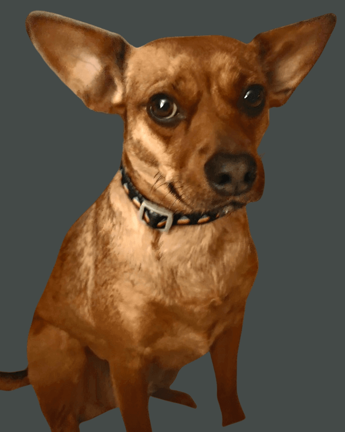 Hi I'm Lily!